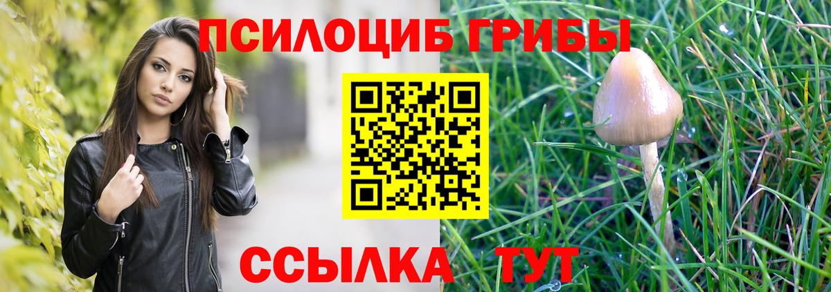 Артём  Псилоцибиновые грибы мицелий  Вход с VPN  Псилоцибиновые грибы прущие грибы 